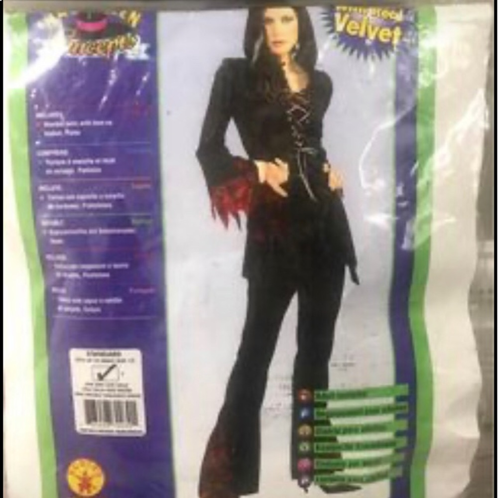 Halloween Costume (Gothic Sorceress)